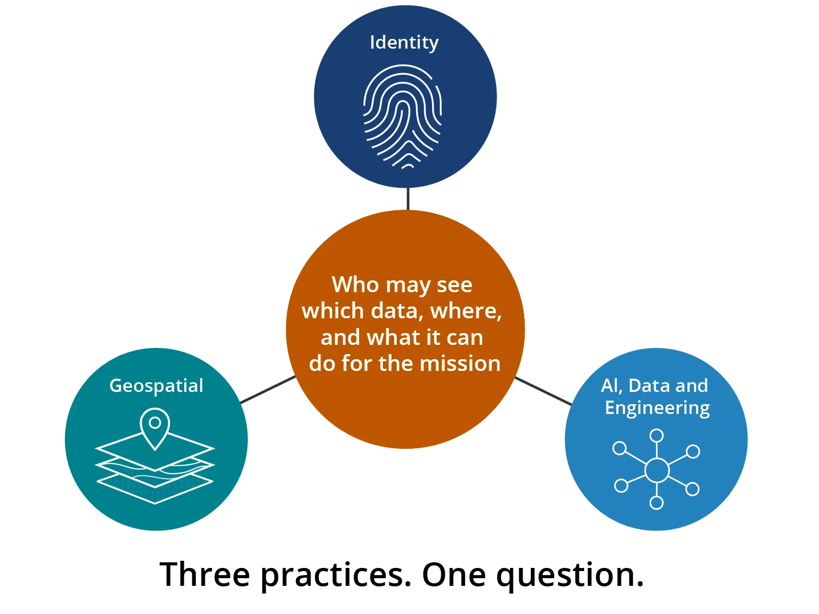 Three practices, Identity, Geospatial, and AI, Data and Engineering, around one question: who may see which data, where, and what it can do for the mission.